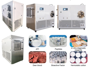 Liofilizador con compresor de alto rendimiento para un funcionamiento fiable - Product Image 2