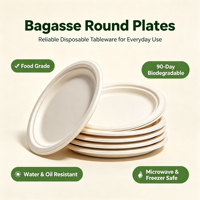 Assiettes rondes jetables en bagasse de canne à sucre de 10 pouces, résistantes, compatibles micro-ondes, pour fêtes, fabriquées en Chine