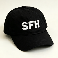 Casquette de baseball personnalisée avec broderie personnalisée, texte personnalisé, logo, cadeau pour hommes, femmes, amis