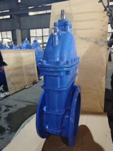 วาล์วประตูเหล็กดัดชนิดยืดหยุ่น DN450 DIN3352 F4 Ggg50 พร้อมซีลยาง PN10 PN16 - Product Image 4