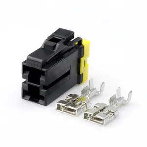 7123-4123-30 2 Pin Female Housing Plug DJ7021Y-9.5-11/21 Watertight Automotive Electrical Connector