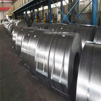 Bobine d'acier galvanisé laminé à froid SGCC DX51+D pour plaque de conteneur, largeur 15-1250 mm, Tianjin Chine