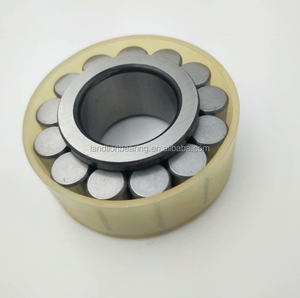 Rodamientos de Rodillos Cilíndricos de Complemento Completo RSL182205-A-XL 25x46.52x18mm, Rodamiento de Engranajes Planetarios SL182205, <span class=keywords><strong>RSL</strong></span> 182205 - Product Image 2