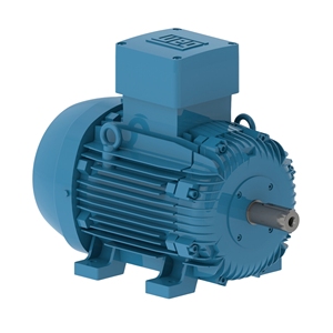 Baru dan asli W21 4P 2HP 220V 380V 60HZ tiga garis saham Motor cuci gudang dari Wegs - Product Image 3