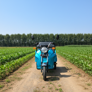 Triciclo Eléctrico de 3 Ruedas para Entrega de Carga, Uso Diario, 50-70km, Motocicleta para Venta de Comida a Domicilio, Ventas en <span class=keywords><strong>Europa</strong></span> - Product Image 6