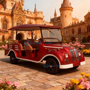 Voiture de tourisme électrique classique vintage à basse vitesse avec 8 sièges, navette de luxe - Product Image 6