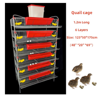 Cage à cailles portable galvanisée de type H à 6 niveaux avec bac à fumier, mangeoire et abreuvoir pour l'élevage des cailles