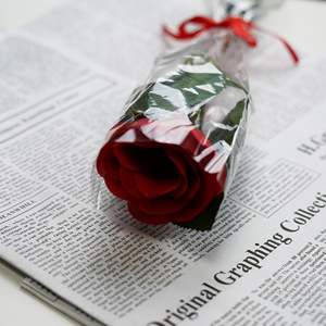 Vente en gros de cadeaux romantiques pour la Saint-Valentin, rose en plastique lumineuse à LED - Product Image 2