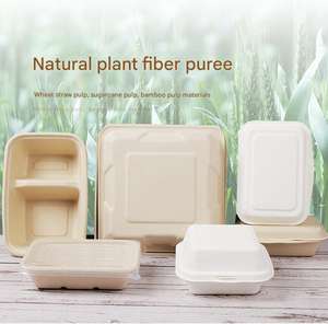 Caja desechable de bagazo sin BPA con tapa para llevar, ideal para sushi, repostería, postres, panadería, tiramisú, pasteles, queso y otros alimentos. - Product Image 2