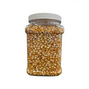 Granos de Palomitas de Maíz Secos de Primera Calidad Orgánica con Color Natural 100% Puro Ofrecidos para Exportación a Granel y Suministro a Nivel Mundial - Product Image 1