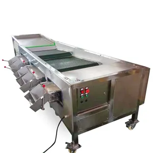 Industrial blueberry sorting machine blueberry sorting machine trade fruit grading machine