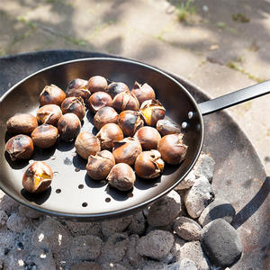 Sartén de Acero al Carbono FF156 Esschert Design, Antiadherente, <span class=keywords><strong>para</strong></span> Cocinar al Aire Libre, con Mango Largo - Product Image 1