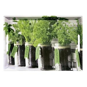 <b>Serving</b> <b>Tray</b> Herbs Printed Design Rectangular With Handles Kitchen Decor - Product Image 1