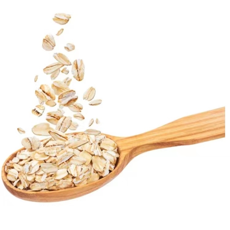 Wholesale breakfast oatmeal original instant cereal meal replacement drink