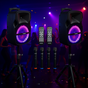 Altavoz PA portátil Active Home de 10 pulgadas con 2 micrófonos inalámbricos, luces RGB Bluetooth para fiestas y karaoke - Product Image 2