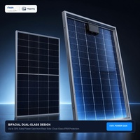 Module HJT Bifacial 20W 725W, Efficacité 23,2% 23,3%, 132 Demi-Cellules, 1500V CC, Charge Mécanique 5400Pa, Panneau Photovoltaïque, Vente en Gros
