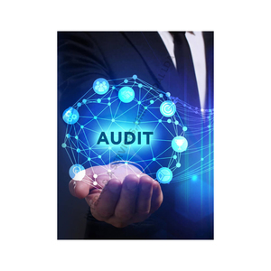 Trình độ chuyên môn và Rủi Ro đánh giá tại chỗ Nhà Máy Kiểm Toán Nhà Máy tuân thủ Kiểm Toán dịch vụ với Nhà cung cấp - Product Image 1