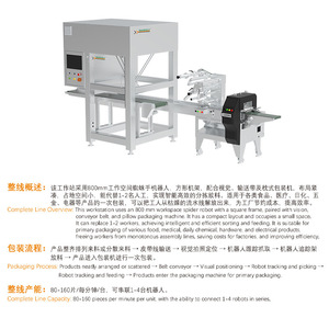 Estación de Trabajo Robótica Inteligente Southwell WS-800 con Marco de 800 mm para Empaquetado Automático de Alimentos, Productos Químicos y Ferretería - Product Image 1