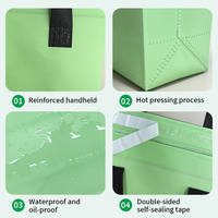 Ecologische geïsoleerde non-woven lunchtas, waterdichte koeltas, op maat bedrukt, voor voedselbezorging