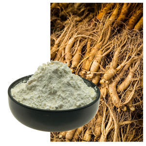 Ginsenoside Rg1 en Polvo 50%, Suplemento para la Salud, Polvo de Ginsenoside - Product Image 1