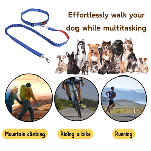 Coleira Elástica para Cães Fixada na Cintura com Liberação Rápida em Nylon, Coleira para Cães Sem Mãos com Corda Bungee - Product Image 4