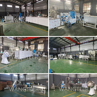 Extrudeuse industrielle automatique pour animaux, 150 kg/h, machine à granulés flottants pour aliments pour poissons tilapia