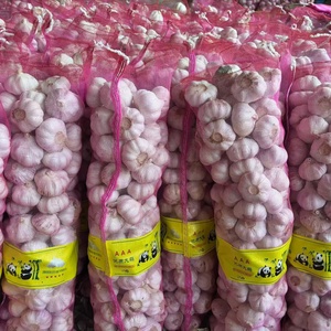 Mercado Mayorista de China, Nuevo Proveedor de <span class=keywords><strong>Ajo</strong></span> Fresco, <span class=keywords><strong>Ajo</strong></span> Blanco Normal, Alho en Bolsa/Caja, Ail G1, Fabricante, <span class=keywords><strong>Ajo</strong></span> <span class=keywords><strong>Morado</strong></span> de Buena Calidad - Product Image 4