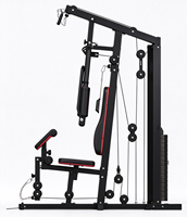 Appareil de musculation multifonctionnel 2-en-1 pour entraînement complet du corps, machine de force à station unique avec poids réglable pour la remise en forme à domicile