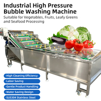 Volledig automatische roestvrijstalen fruit- en groentebellenreinigingsmachine met motor en PLC-besturing, commerciële fruitwasapparatuur