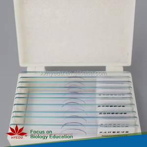 個々の乳酸菌スミア顕微鏡ガラススライド研究ラボ - Product Image 6