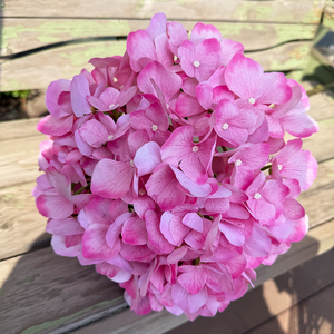 Grande fleur d'hortensia 3D à effet naturel - Réaliste et authentique pour la décoration intérieure - Product Image 4