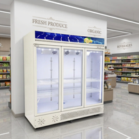 Réfrigérateur commercial professionnel de grande capacité avec porte vitrée pour boissons, vitrine de présentation