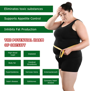 OEM ODM Kiwi Slim Fit, Polvo de Jugo con Mezcla de Hierbas para el Control del Peso Corporal, Ayuda a Reducir la Grasa Corporal, Pérdida de Peso Natural a Base de Hierbas - Product Image 3