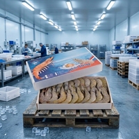 Bac de transport aéré pour poissons vivants en Coroplast résistant aux UV, 6 mm, 800x500x500 mm, avec valve de vidange, disponible en gros, OEM, ODM