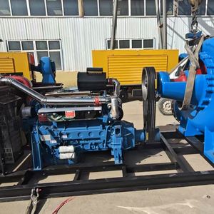 Pompe à haute pression pour moteur diesel OEM, taille personnalisée, débit élevé, pour l'eau et les pompes à incendie, destinée au traitement des eaux usées - Product Image 4