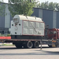 Chaudière à vapeur industrielle à biomasse de 4 tonnes DZL à alimentation automatique par chaîne