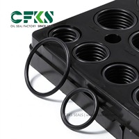 CFKS Öldichtung Maßgefertigter Hydraulik-O-Ring-Satz Hochtemperatur-FKM-O-Ring-Box-Kit Gummi-O-Ring-Set für Hydraulikpumpen