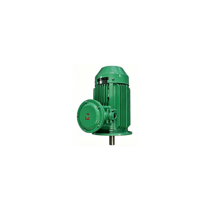 มอเตอร์เหนี่ยวนำอุตสาหกรรม YBX5-355 ประสิทธิภาพสูง แรงดันไฟฟ้าคู่ 380V/660V 2/4/6/8 โพล 160-315 กิโลวัตต์ ประหยัดพลังงาน เชื่อถือได้ - Product Image 1