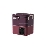 Congélateur isolé LP DC AC Power Bank alimentation refroidisseur sac à dos réfrigérateur de voiture isolation intelligente réfrigérateur de voiture vente en gros