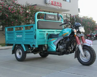 Motocyclette cargo à trois roues à carrosserie ouverte avec side-car, moteur à essence, motorisée pour adultes