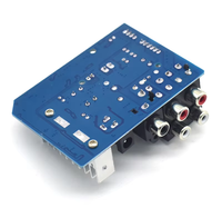 TPA3110 dijital Subwoofer amplifikatör kurulu 8-24V 2*15W brezilyalı amplifikatör ev amplifikatör ses sistemi için
