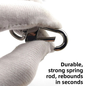 DF23 316 Stainless Steel Spring Clasp 40*16*10mm Luggage Hardware <b>Keychain</b> 25kg Load Capacity In Stock Wholesale - Product Image 5