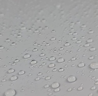 Revestimiento Cerámico 9H, Pulimento Nano Cristalizado, Agente Hidrofóbico Líquido, Producto para el Cuidado del Automóvil con Dureza Impermeable