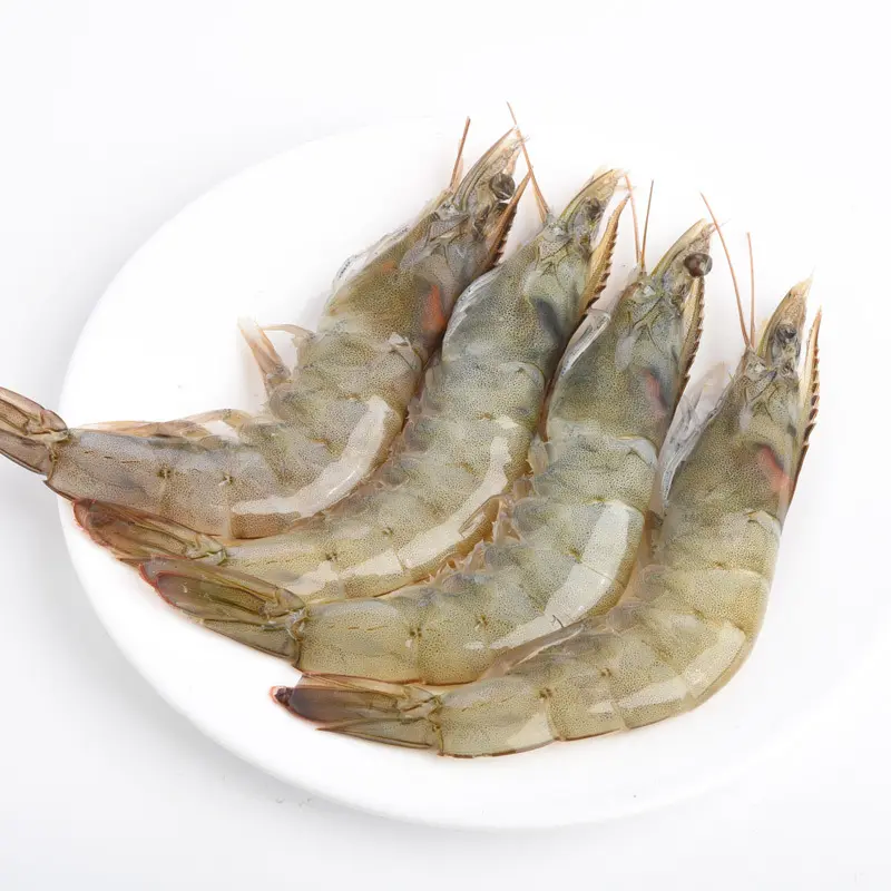 Crevettes de rivière fraîches congelées bas prix fruits de mer crevette de rivière de haute qualité fabriqués en usine