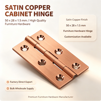Charnière de porte de placard en laiton 50 x 28 x 1,5 mm, accessoires de meubles pour armoire, tiroir, porte en bois