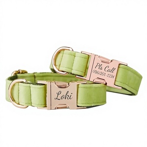 Collar y Correa Personalizados para Perro Avocado Vee con Diseño de Flor y Lazo, Placa con Nombre Grabada en Oro, Accesorio Unisex para Cachorros de Boda - Product Image 1