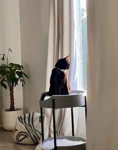 Erhöhtes modernes schmiede eisernes Katzen bett zweistufig mit langem Kunst pelz kissen - Product Image 3