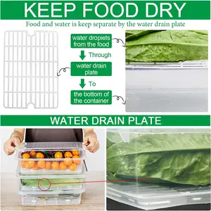 冷蔵庫食品貯蔵容器冷蔵庫果物野菜肉魚容器取り外し可能な排水プレートトレイ付きオーガナイザーケース