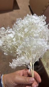 1 kg de Fragmentos de Hortensia <span class=keywords><strong>Annabelle</strong></span> Preservados de Grado AB, Cabezas de Hortensia Anna, Pétalos, Material de Larga Duración, Navidad, Año Nuevo - Product Image 3