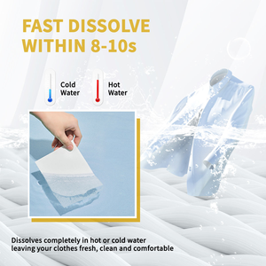 Customized Your Logo Eco Friendly Stain Remover Laundry <strong>Detergent</strong> Paper Sheet Laundry Soap Sheet - Product Image 2